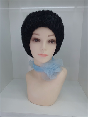 发型展示